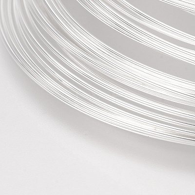 Carbon Steel Memory Wire LS-STAS-H021-S-1-1
