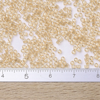 MIYUKI Delica Beads SEED-X0054-DB0101-1