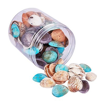 Dyed Natural Shell Beads BSHE-PH0003-02-1