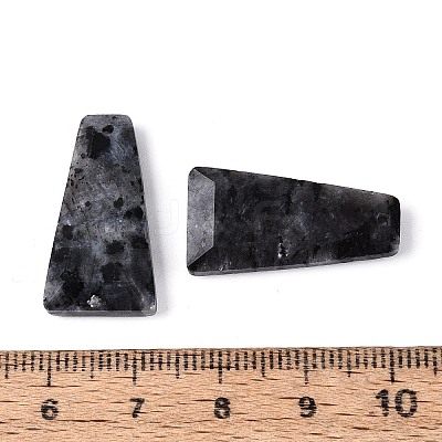 Natural Larvikite Pendants G-Q601-10A-1
