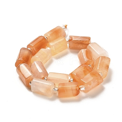 Natural Orange Botswana Agate Beads Strands G-N327-06-31-1