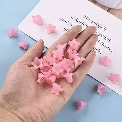 Transparent Acrylic Beads PLF018-02-1