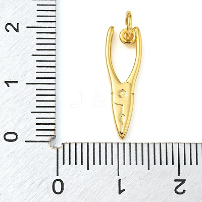 Rack Plating Brass Pendants KK-Z063-30D-G-1