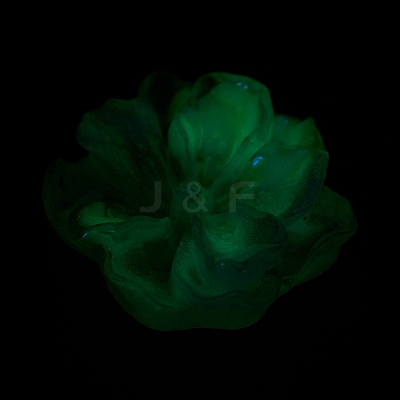 Luminous Resin Cabochons RESI-E033-02B-1