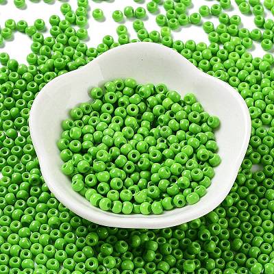 Baking Paint Glass Seed Beads SEED-H002-I-A510-1