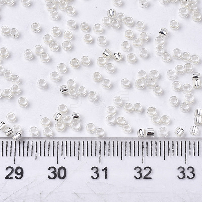 Glass Seed Beads SEED-S042-04A-06-1