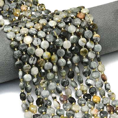 Natural Eagle Eye Stone Beads Strands G-C116-A41-02-1