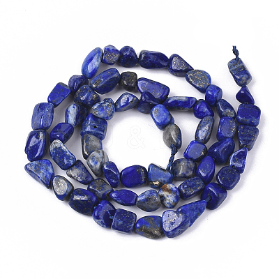 Natural Lapis Lazuli Beads Strands G-S363-044-1