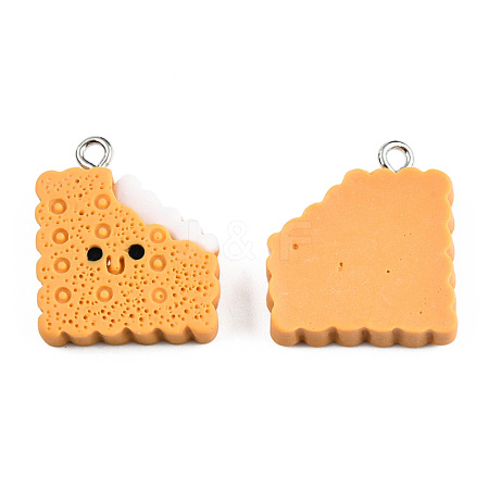 Opaque Resin Pendants CRES-N022-189-1