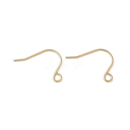316 Surgical Stainless Steel Earring Hooks STAS-Z124-02C-G-1