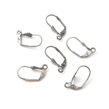 316 Surgical Stainless Steel Leverback Earring Findings STAS-WH0022-70-1