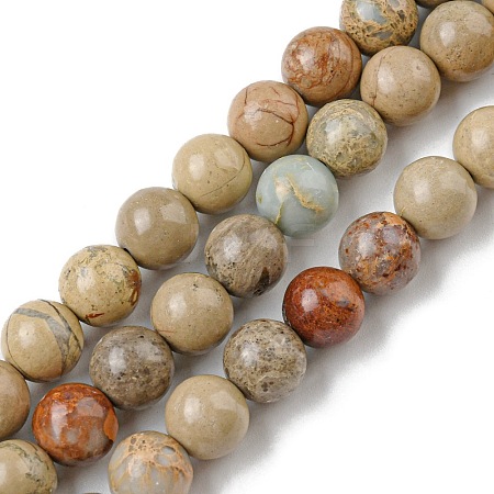 Natural Aqua Terra Jasper Beads Strands G-E444-14B-10mm-1