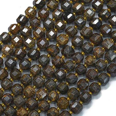 Natural Bronzite Beads Strands G-K389-A60-01-1