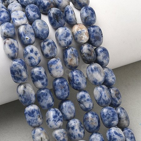 Natural Blue Spot Jasper Beads Strands G-C286-A01-1