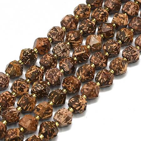 Natural Starburst Jasper Beads Strands G-I376-A60-01-1