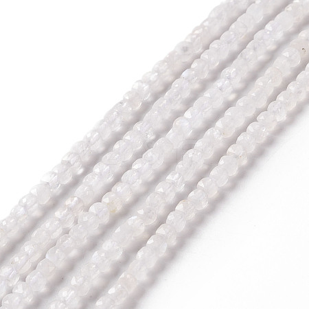 Natural Rainbow Moonstone Beads Strands G-F717-19-1