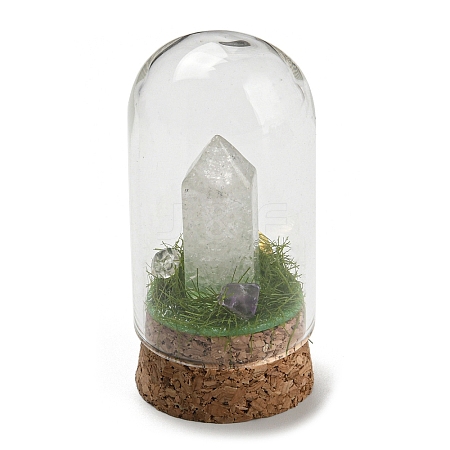 Natural Quartz Crystal Bullet Display Decoration with Glass Dome Cloche Cover DJEW-B009-02H-1