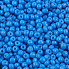 (Repacking Service Available) Baking Paint Glass Seed Beads SEED-C024-A-K17-1