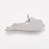 Tarnish Resistant 201 Stainless Steel Pendants X-STAS-T038-47-1