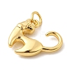 Brass Charms KK-I364-02G-05-2