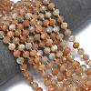 Natural Sunstone Beads Strands G-K389-E45-01-2