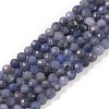 Natural Tanzanite Beads Strands G-F717-17B-01-1