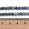 Natural Kyanite/Cyanite/Disthene Beads Strands G-L651-C02-4mm-5
