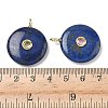 Dyed Natural Lapis Lazuli Pendants G-I391-02G-04-3