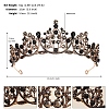 Alloy Rhinestone Hair Bands  for Woman Girls PW-WGA69DD-08-1