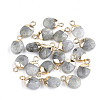 Electroplate Natural Labradorite Charms X-G-S344-09D-1