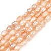 Natural Cultured Freshwater Pearl Beads Strands PEAR-P064-20H-02B-2