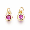 Brass with Single Cubic Zirconia Charms ZIRC-F095-03G-04-2