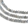 Natural Labradorite Beads Strands X-G-I341-11B-3