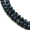Natural Freshwater Shell Beads Strands X-SHEL-H003-03C-3