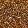TOHO 6/0 Round Beads X-SEED-TR06-0022-4