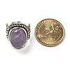 Natural Amethyst Adjustable Rings RJEW-I108-01AS-14-5