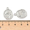 Alloy Pendants FIND-B047-03C-P-3