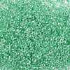 12/0 Glass Seed Beads X1-SEED-A015-2mm-2218-2