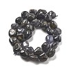 Natural Iolite Beads Strands G-C179-F06-01-3