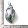 Plating UV Iridescent Acrylic Pendants OACR-B020-07-3