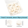 2 Strands Natural Freshwater Shell Beads Strands SSHEL-SC0001-36A-2