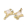 Alloy Micro Pave Cubic Zirconia Pendants LS-PALLOY-D006-02G-3
