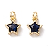 Brass Cubic Zirconia Charms FIND-Z005-02-2