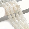 Natural White Moonstone Beads Strands X-G-D294-8mm-5