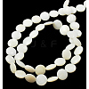 Natural Shell Beads Strands X-PBB-XXBK027Y-13-2