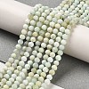 Natural Green Opal Beads Strands G-Z035-A02-02A-2