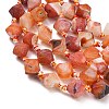 Natural Weathered Agate Beads Strands G-A321-G02-01-3