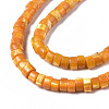 Natural Trochus Shell Beads Strands LS-SHEL-S278-027F-3