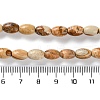 Natural Picture Jasper Beads Strands G-I369-B04-01-5