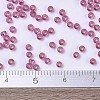MIYUKI Round Rocailles Beads X-SEED-G007-RR1338-4